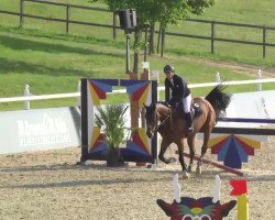 jumper Twain (Irish Sport Horse, 2000)
