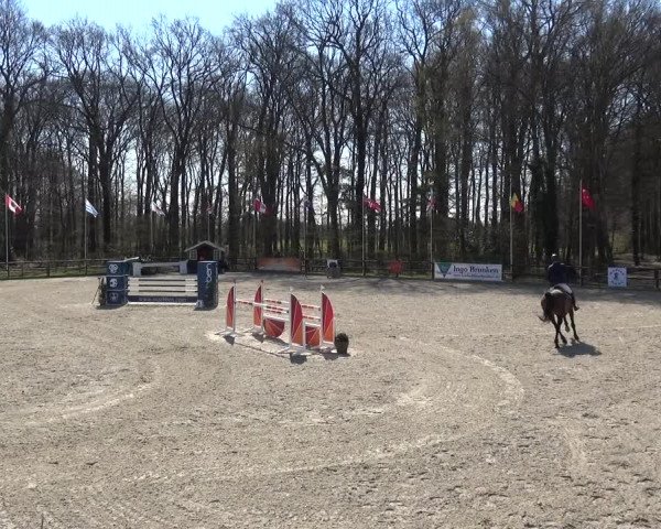 Reitturnier Klein Roscharden 2021