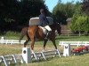 dressage horse Welsikon (Hanoverian, 2001, from Weltmeyer)