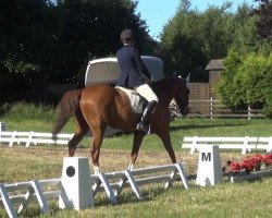 dressage horse Welsikon (Hanoverian, 2001, from Weltmeyer)