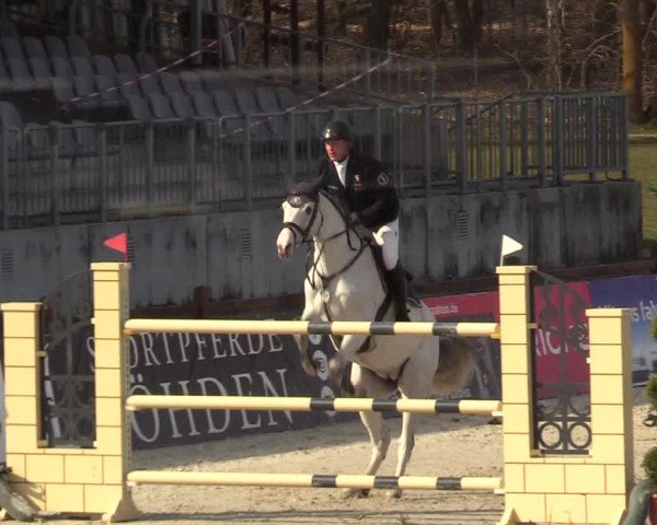 FEI Reitturnier Westergellersen (GER) 2021