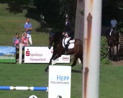 jumper Heizmann's Corde-Boy (Holsteiner, 2007, from Cor de la Bryère)