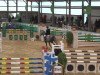 jumper Cincano H (German Sport Horse, 2007, from Cliff H)