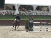 jumper Let's Fetz 3 (Hanoverian, 1999, from Laptop)