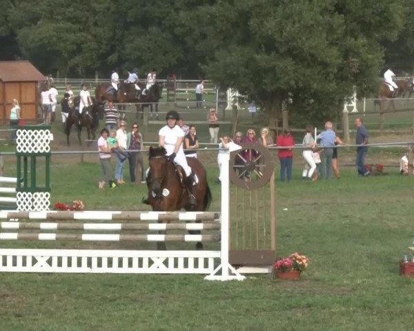 jumper Ruffin 2 (Hanoverian, 2001, from Rabino)