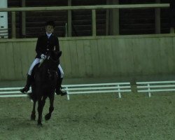 dressage horse Dark Night 2 (German Riding Pony, 2005, from Diadoche S)