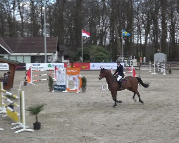 Reitturnier Klein Roscharden 2021