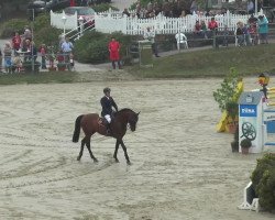 jumper Lertevangs Coleir (Danish Warmblood, 2004, from Carano)