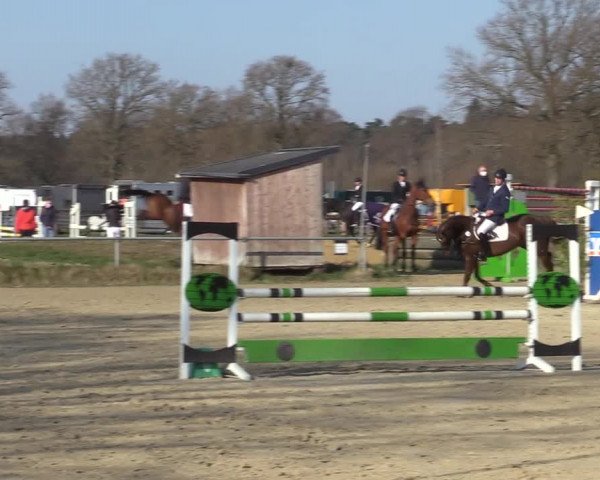 Reitturnier Coesfeld-Lette 2021