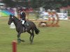 jumper Anneka 2 (Oldenburg show jumper, 2006, from Albatros 86)