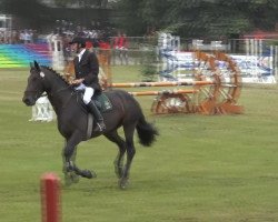 jumper Anneka 2 (Oldenburg show jumper, 2006, from Albatros 86)