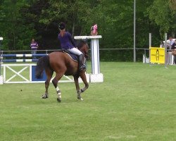 jumper Rubinyo CK (Württemberger, 2003, from Rheinsberg)