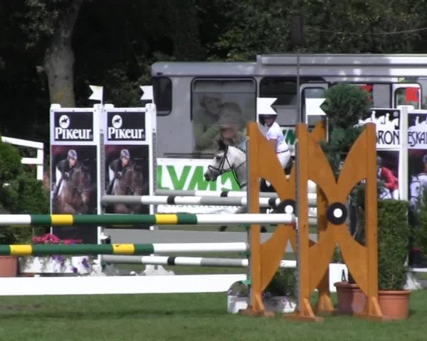 jumper Ginger 805 (German Riding Pony, 2001)