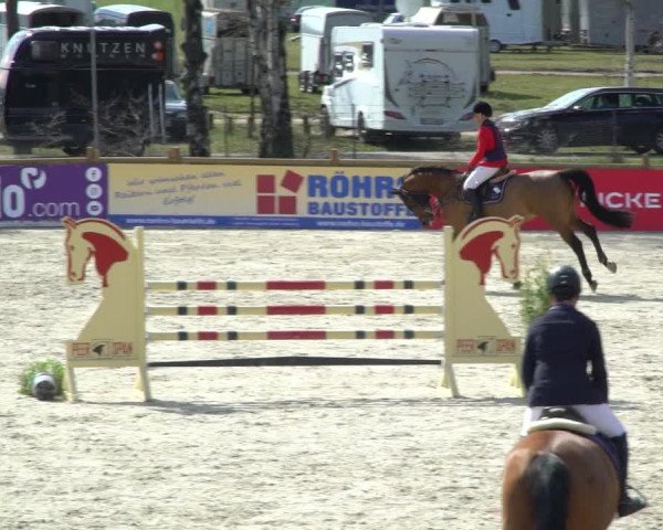 FEI Reitturnier Westergellersen (GER) 2021
