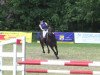 jumper Peter Pan 95 (Trakehner, 1996, from Hand in Glove xx)