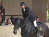 jumper Sheila B 2 (Hanoverian, 2006, from Salieri)