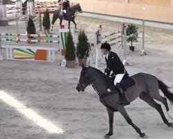 jumper El Bandy 4 (Hanoverian, 2006, from El Bundy)