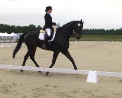 dressage horse Bernstein 94 (Hanoverian, 2005, from Brentano II)