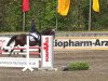 jumper Speedy 376 (German Warmblood, 2006, from Syndikat)