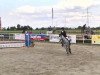 jumper Cantuccina 2 (German Sport Horse, 2007, from Calido I)