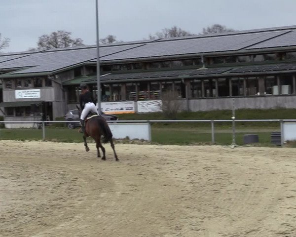 Reitturnier Coesfeld-Lette 2021