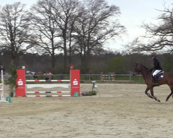 Reitturnier Coesfeld-Lette 2021