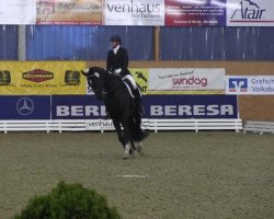 dressage horse Roadster (Hanoverian, 2004, from Rotspon)