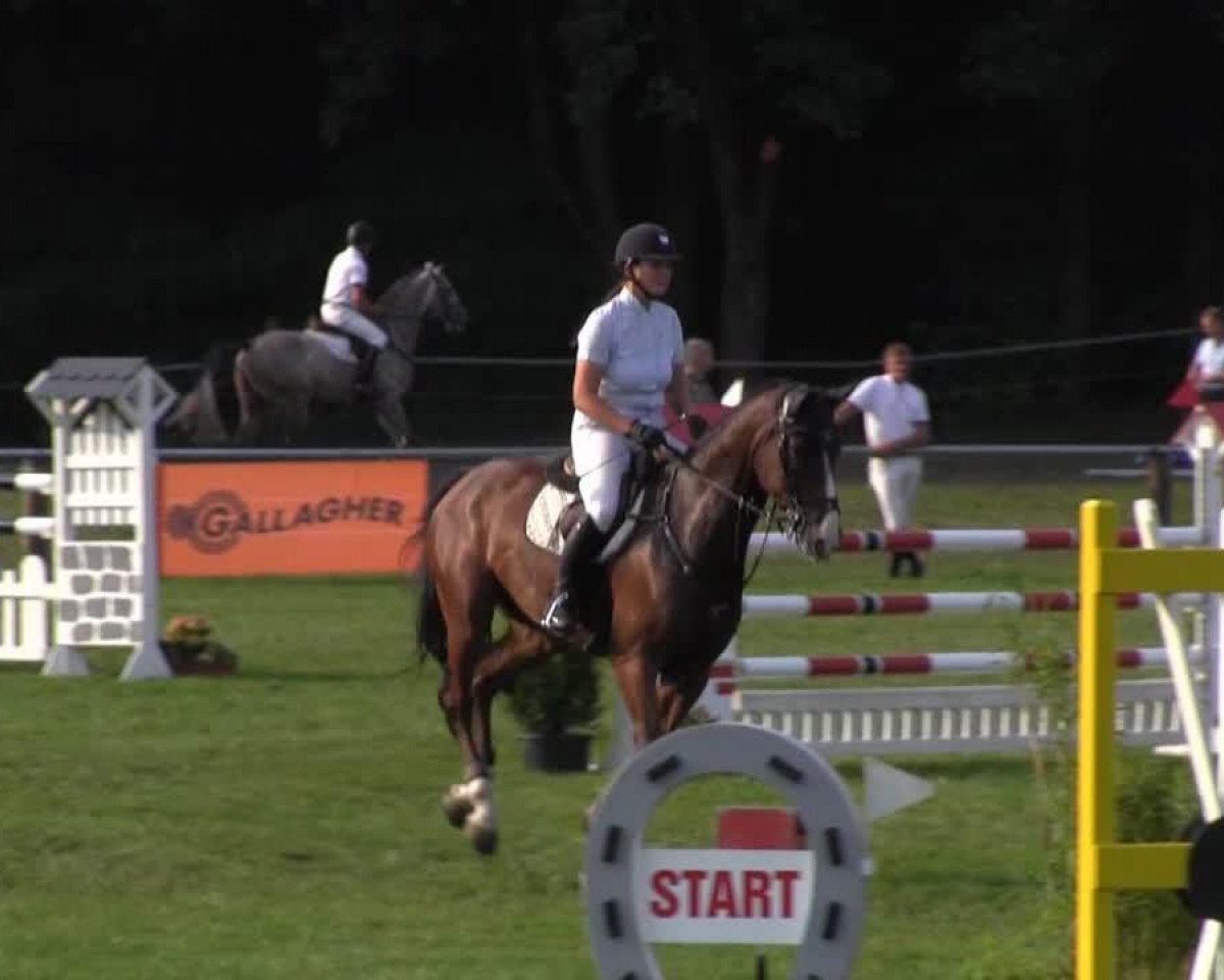 Springpferd Quanito de la Silla (Holsteiner, 2007, von Quintero)