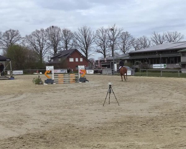 Reitturnier Coesfeld-Lette 2021