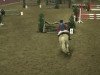 Springpferd Niki 19 (Haflinger, 1994, von Nadino I (6,25% ox))