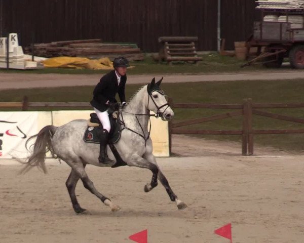 FEI Reitturnier Westergellersen (GER) 2021
