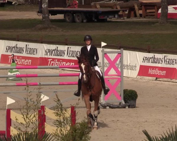 FEI Reitturnier Westergellersen (GER) 2021