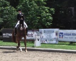 dressage horse Lugano 302 (Hanoverian, 2001, from Londonderry)