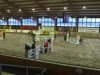 dressage horse Paulette (German Riding Pony, 1994, from Llanarth Pip)