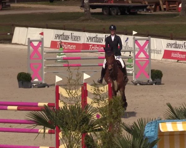 FEI Reitturnier Westergellersen (GER) 2021