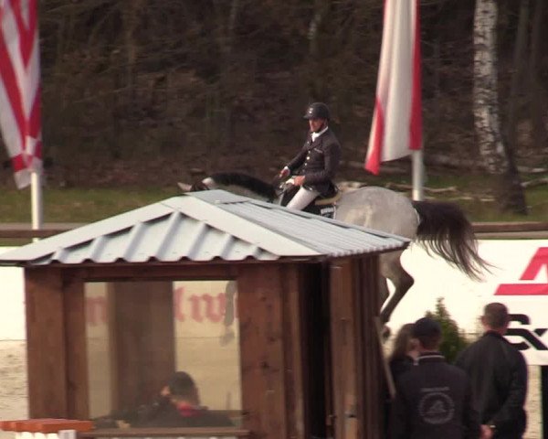 FEI Reitturnier Westergellersen (GER) 2021