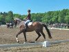 dressage horse Jaspa 3 (Oldenburg, 2006, from Glock's Johnson Tn)