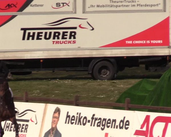 FEI Reitturnier Westergellersen (GER) 2021