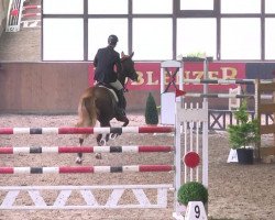 jumper Donnerlittchen 37 (unknown, 2004)