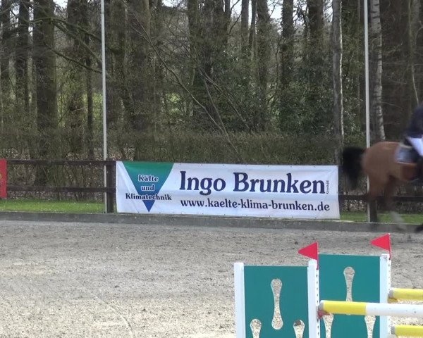 Reitturnier Klein Roscharden 2021