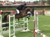 broodmare Daylight 236 (Oldenburg show jumper, 2005, from Araconit)