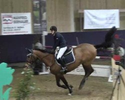 jumper Arabella 634 (Oldenburg show jumper, 2005, from Aralimbo)