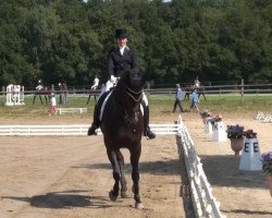 dressage horse Wanda Wunderding (Hanoverian, 2005, from Warkant)