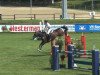 jumper Flame 27 (Hessian Warmblood, 2003, from For Keeps)