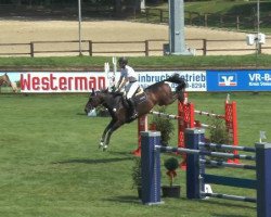 Springpferd Flame 27 (Hessisches Warmblut, 2003, von For Keeps)