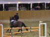 jumper Rpm Big Surprise (Oldenburg show jumper, 2004, from Balou du Rouet)