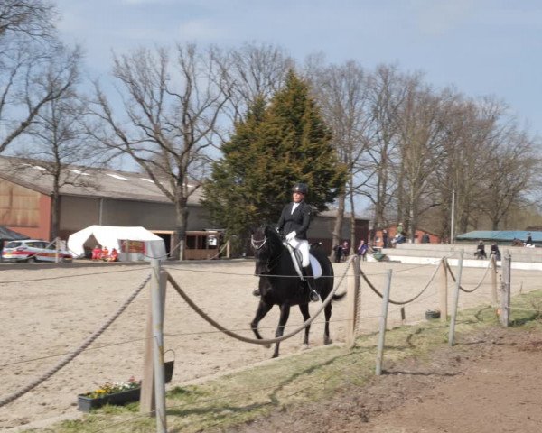 Reitturnier Handorf 2021
