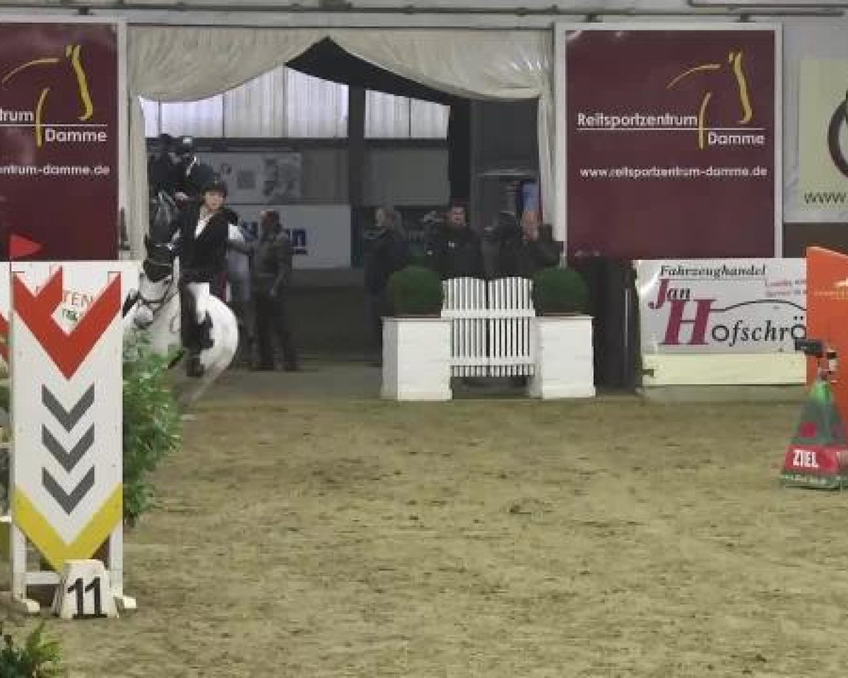 jumper Wimbeldon 3 (KWPN (Royal Dutch Sporthorse), 2003, from Roven xx)