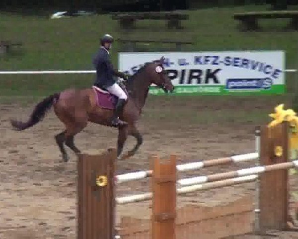 jumper Lenin 10 (German Sport Horse, 2006, from Landrebell)