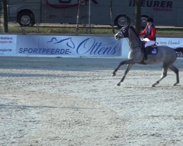 FEI Reitturnier Westergellersen (GER) 2021
